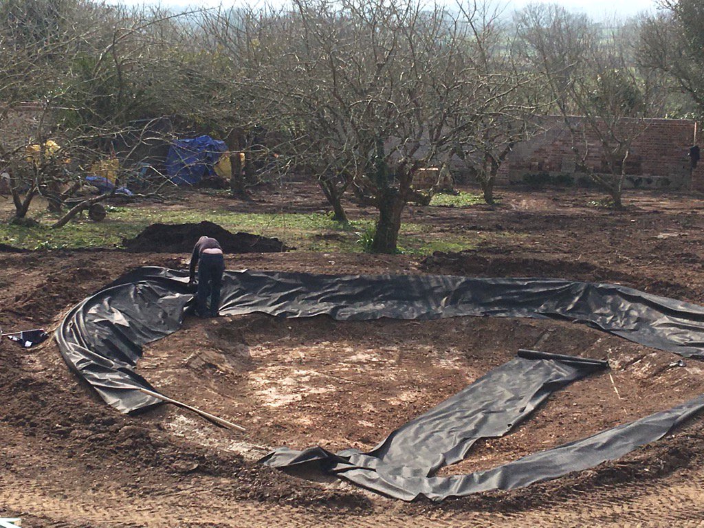 DeerParkHouse's tweet image. S &amp;amp; M Director helping to implement our pond #knowshisroots! #notafraidofhardwork! @SMDeerParkHotel @mdDeerParkHotel