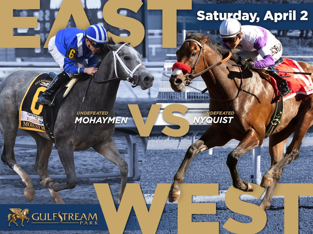 GulfstreamPark's tweet photo. Retweet &amp; tell us if you're representing #TeamMohaymen or #TeamNyquist &amp; you could win a #FLDerby swag bag! https://t.co/jhcCnMJxoh
