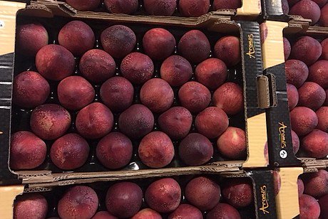 Spanish nectarines four weeks earlier
freshplaza.com/article/155513…