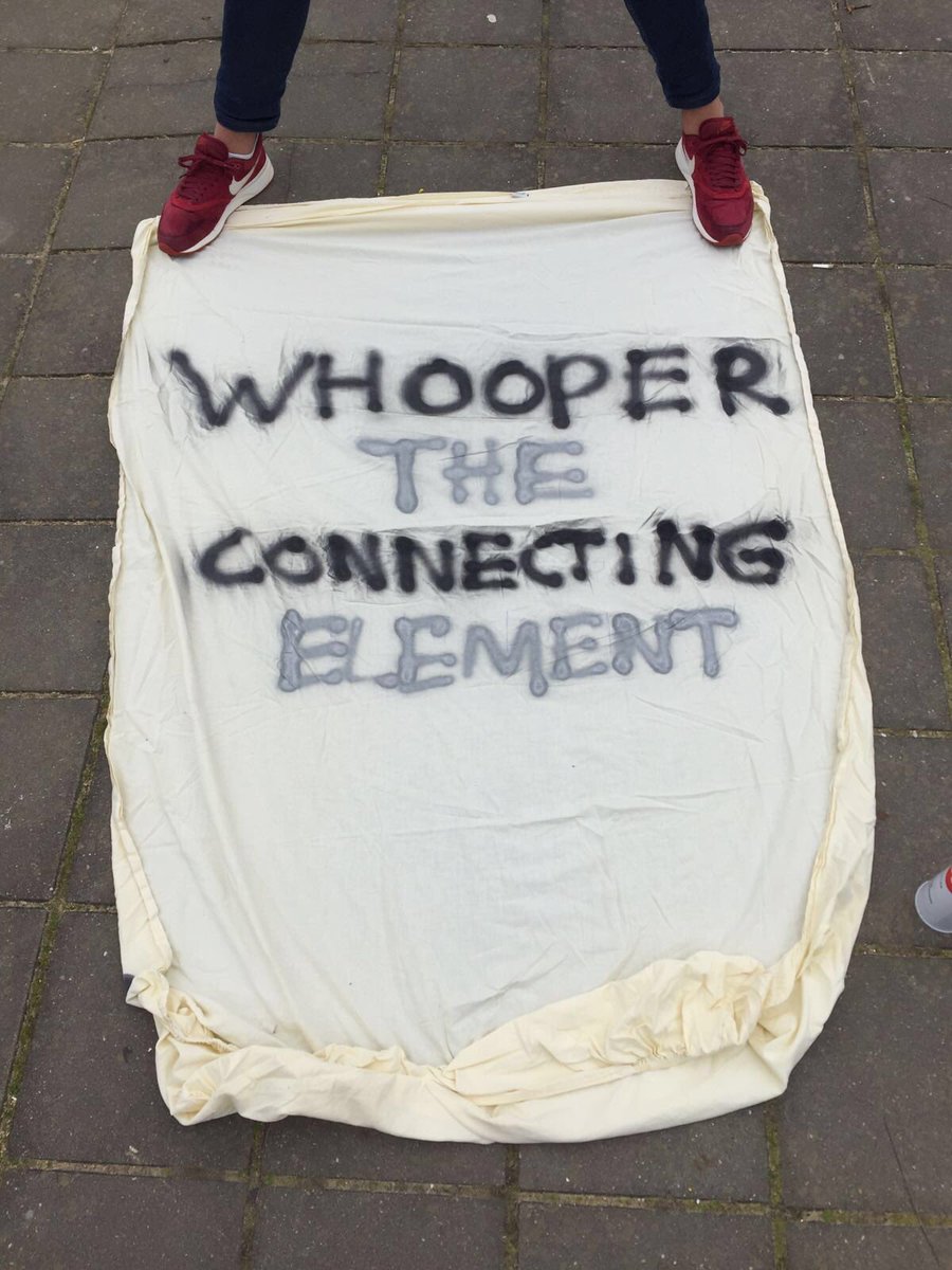 WHOOPER S.C. tweet media