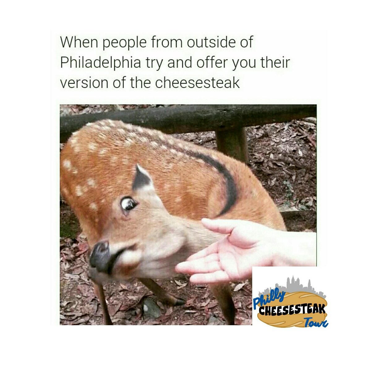 Philly_CS_Tour's tweet photo. #nationalcheesesteakday 10% off booked tours by midnight! Email phillycheesesteaktour@gmail.com for discount! https://t.co/n1qmbRG9yA