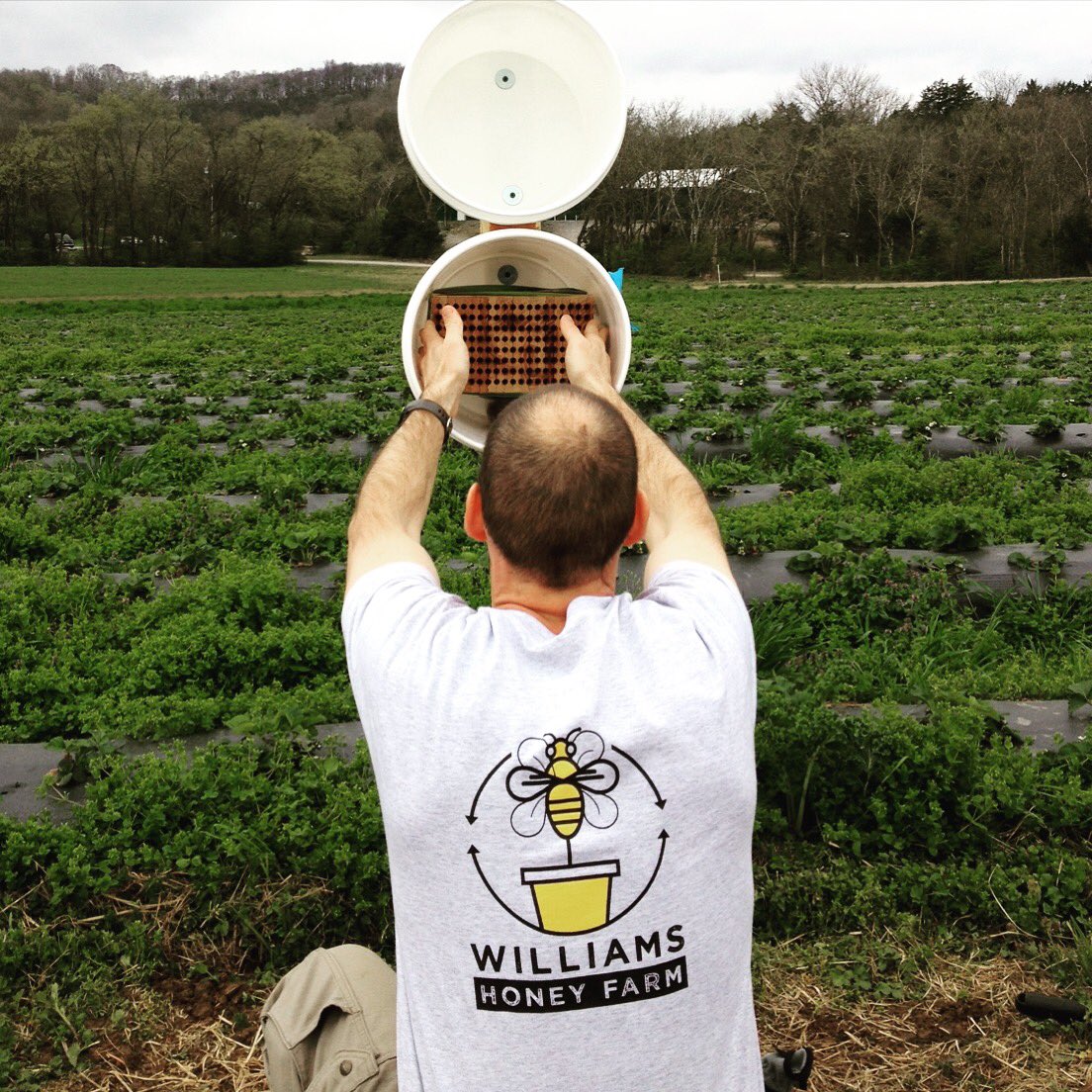 GreenDoorCSA's tweet photo. A HUGE thank you to @WilliamsHoneyTN for supplying us with a new hive of Mason Bee pollinators! #pollenpower https://t.co/r2vrf1kH2r