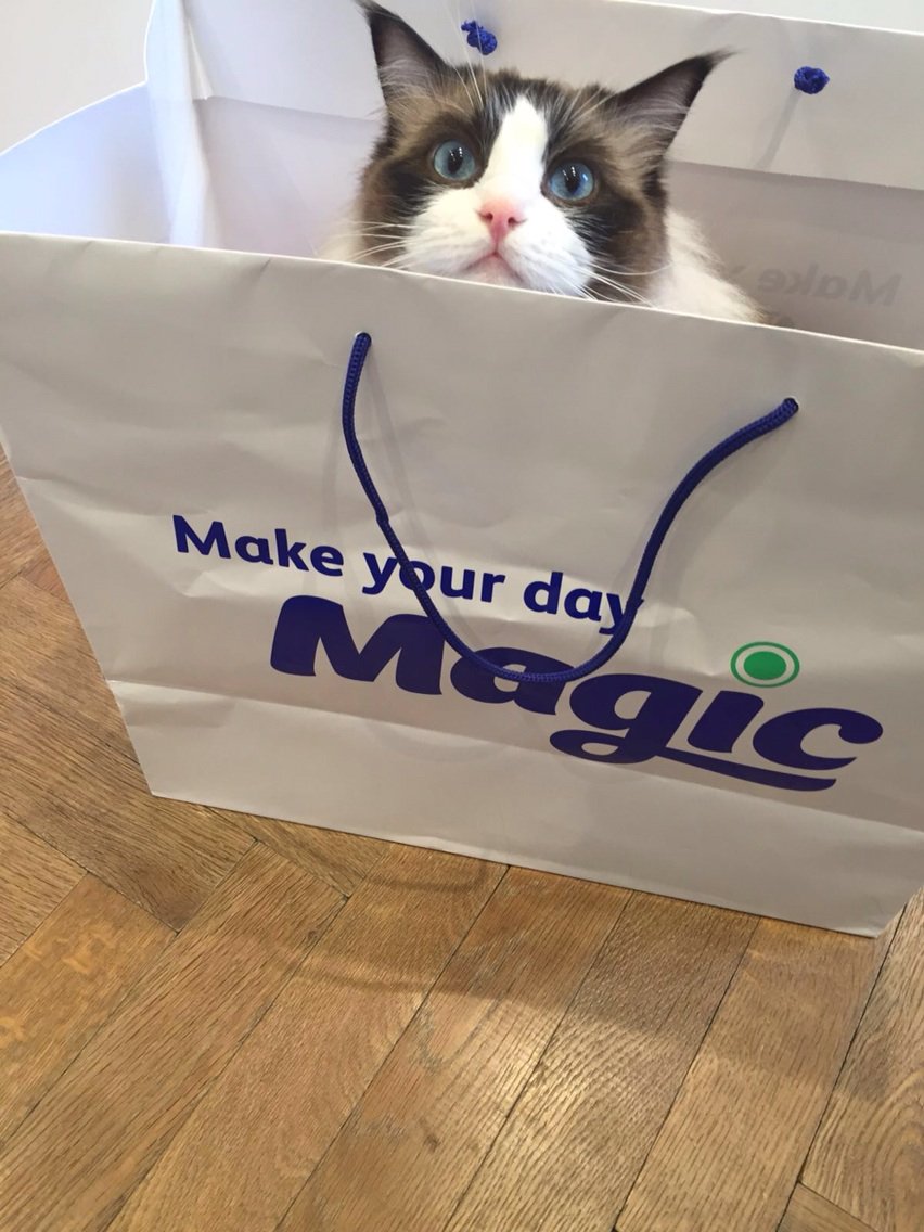 There's nothing wrong with being a single cat lady and Good Housekeeping's  April cover star, Patsy Kensit, is here to prove it. In an exclusive  interview, the actress and singer revealed that, image size:852x1136