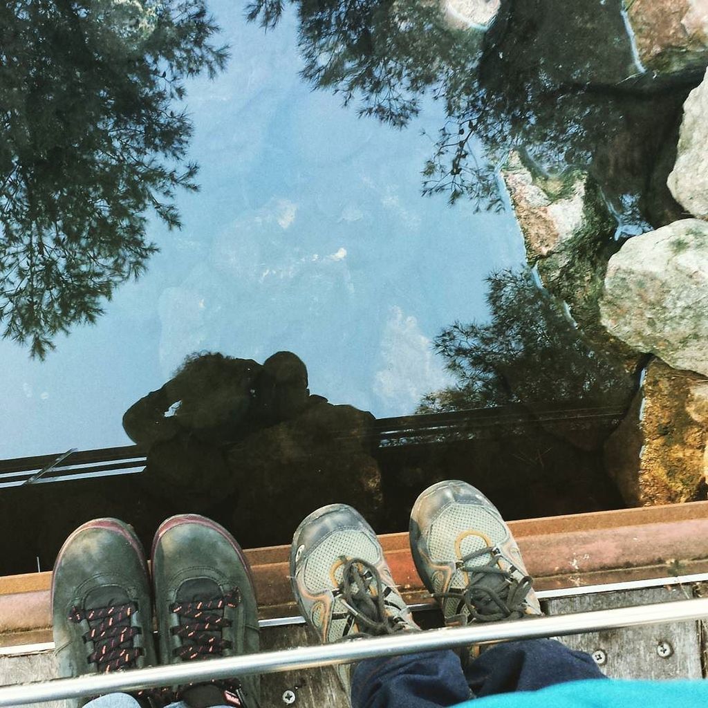 cat_testimo's tweet photo. #parc #park #parque #salou #tarragona #catalunyatestimo #catalunya #costadaurada #igersta… https://t.co/R5YUaQW9jS https://t.co/4hQg2d5nF0