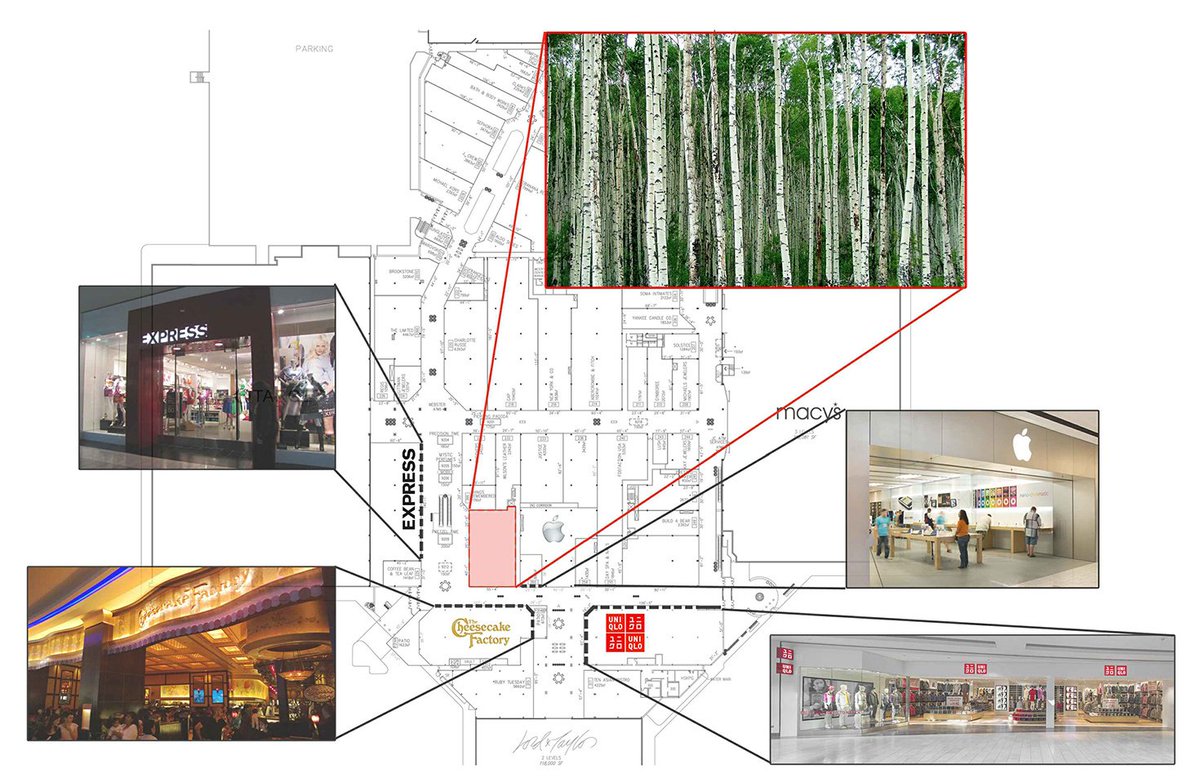 BradyStone_PAA's tweet photo. View the process we took for the new @DenaliStores @WestfieldTRU  https://t.co/yqfWAk7hYm #retaildesign #architect https://t.co/7sAle6oP7a