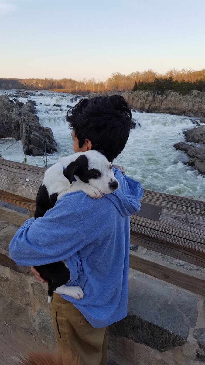VA_GreatFalls tweet picture