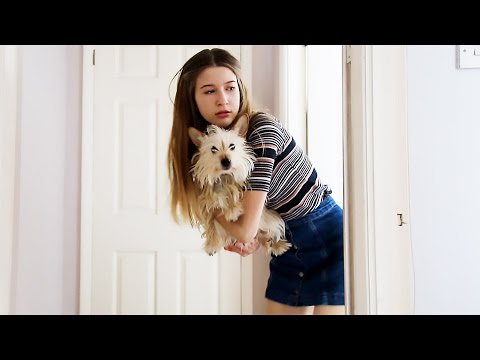 vlog_fun's tweet photo. The Werewolf, The Witch &amp; The Magic Ring! https://t.co/rnxXSU6z1X #funny | https://t.co/Q4kSWHzJkl https://t.co/NxGI1RdjIw