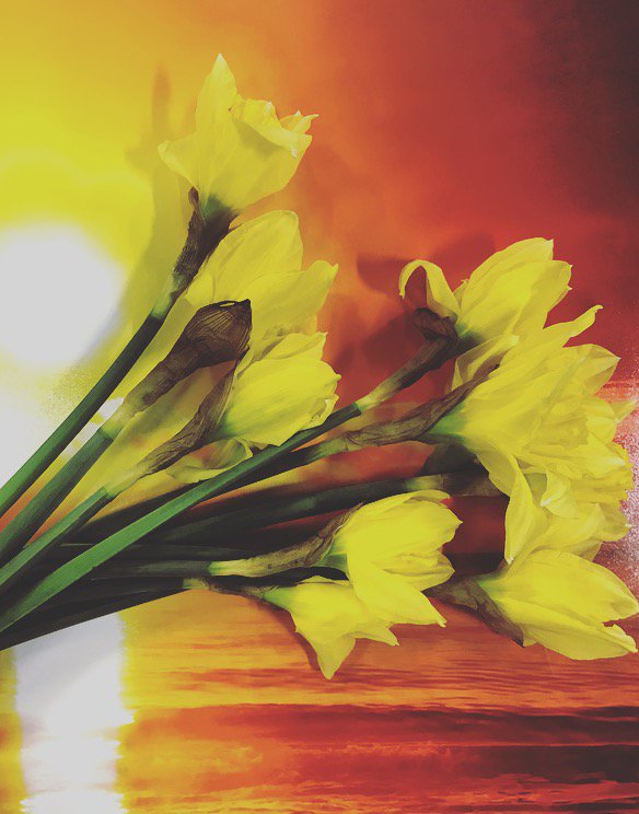 Thanks for the free daffodils <a href="/OliverBonas/">Oliver Bonas</a> - they have brightened up my desk for Easter! <3