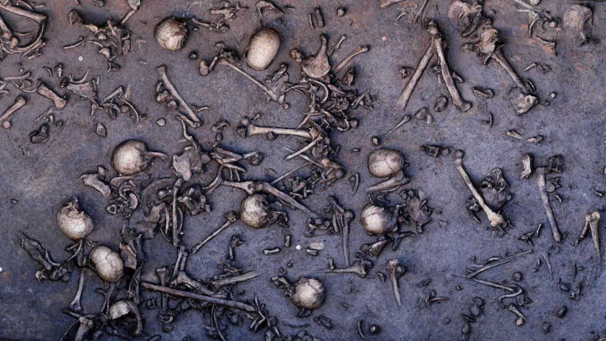irarchaeology's tweet photo. This is pretty amazing. Uncovering a colossal Bronze Age battle site in Germany https://t.co/TL6xgj6yUh #archaeology https://t.co/uSDla0RpOU