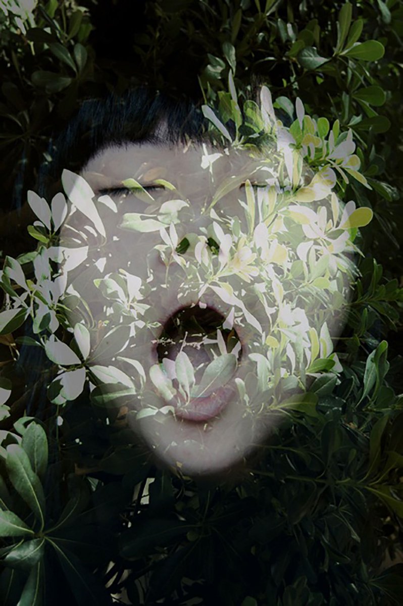 PLOTmag's tweet photo. #PLOTtopic #PHYLLIS Be inspired by nature’s infinite beauty. @_GreenGallery https://t.co/zWnZZPJte9 https://t.co/s2a43ToIIx