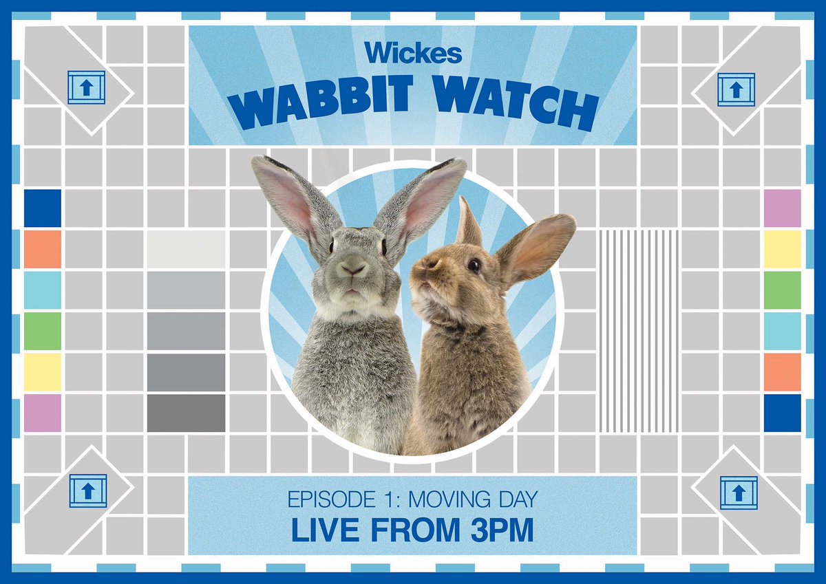 Wickes's tweet image. Tune in to episode 1 of #WickesWabbitWatch and see our furry little friends move in to their lovely new home!