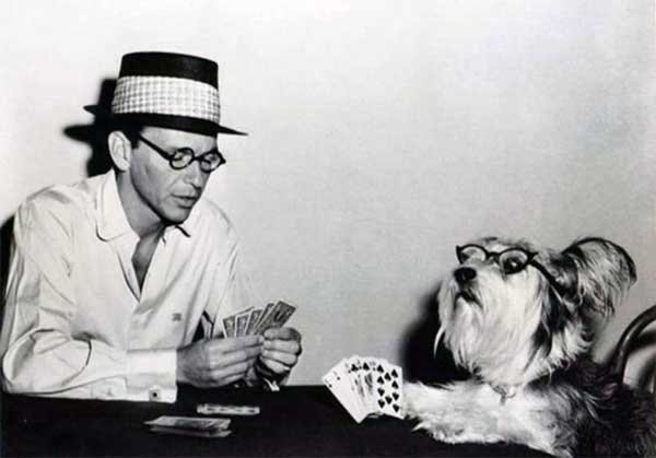 hellomrbones's tweet photo. Cheating dog. Incredible picture via @ChrisTheCoup https://t.co/vVHQJFzRu8
