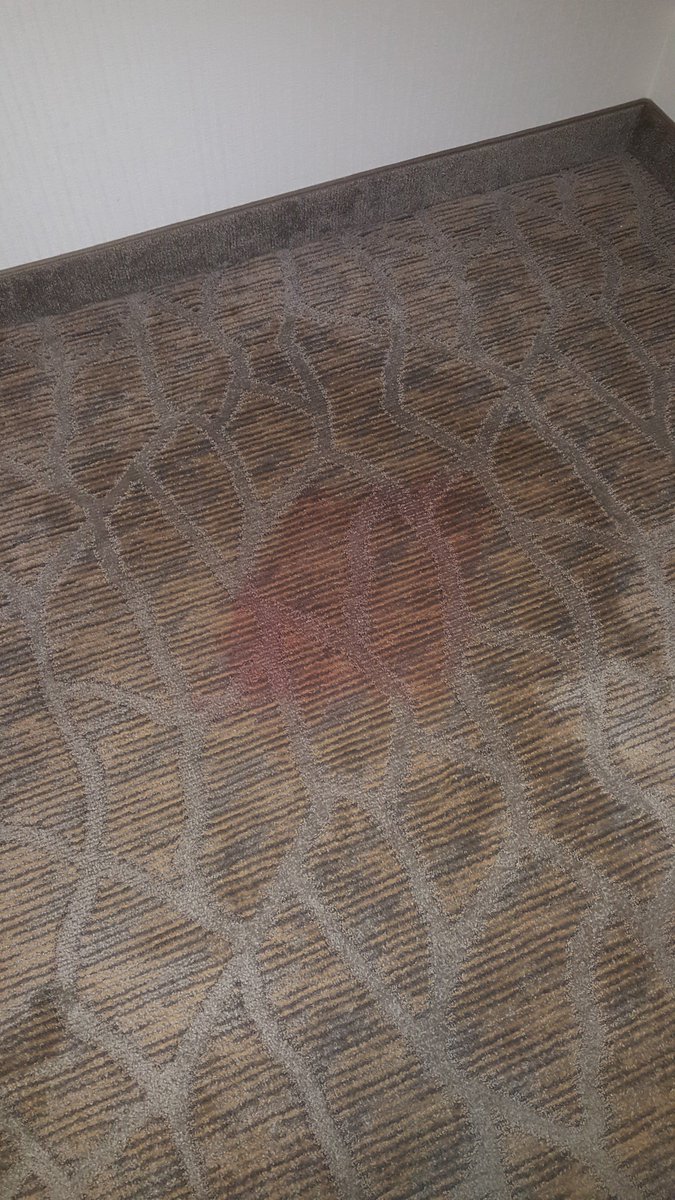 AECEClean's tweet photo. We protect the image of our clients by protecting the appearance of their restaurant and hotel room floors. https://t.co/TxWqodAXEA