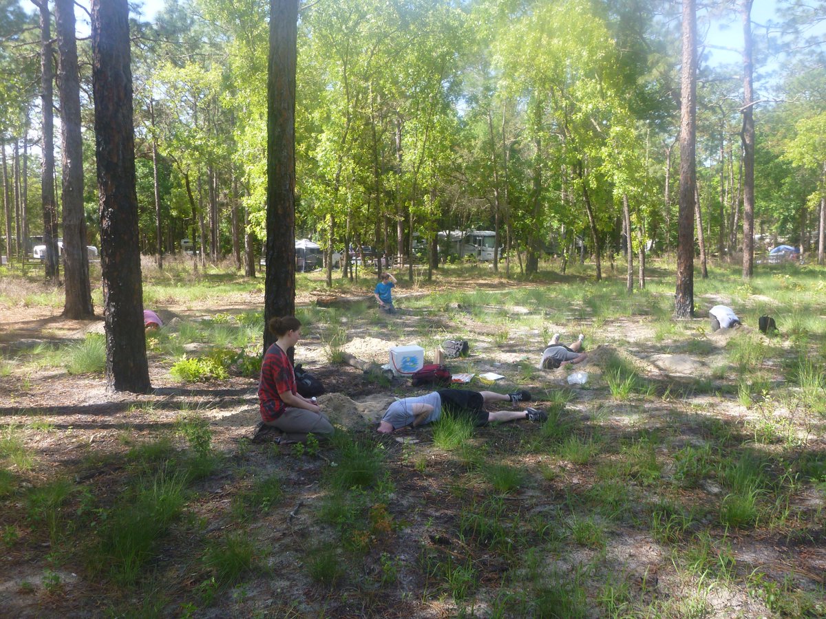 uwcurrielab's tweet photo. On this dreary, icy, snowy "spring" Wisconsin day, a #TBT to digging for ants in hot, humid Florida #labventure https://t.co/aPZpmjjomO