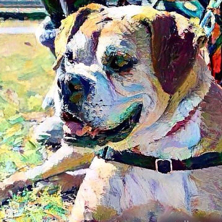 ATXBoxer's tweet photo. We took @animalsofaustin's gorgeous photo of #ABRfezzik and ran it through the Dreamscope … https://t.co/NTMMukb29K https://t.co/cvafGC0kuM