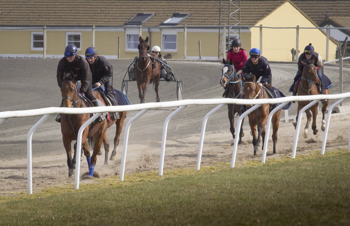 marcstottracing's tweet photo. A new season is on the door step and all horses are in full training. https://t.co/hy5MDCE2D4