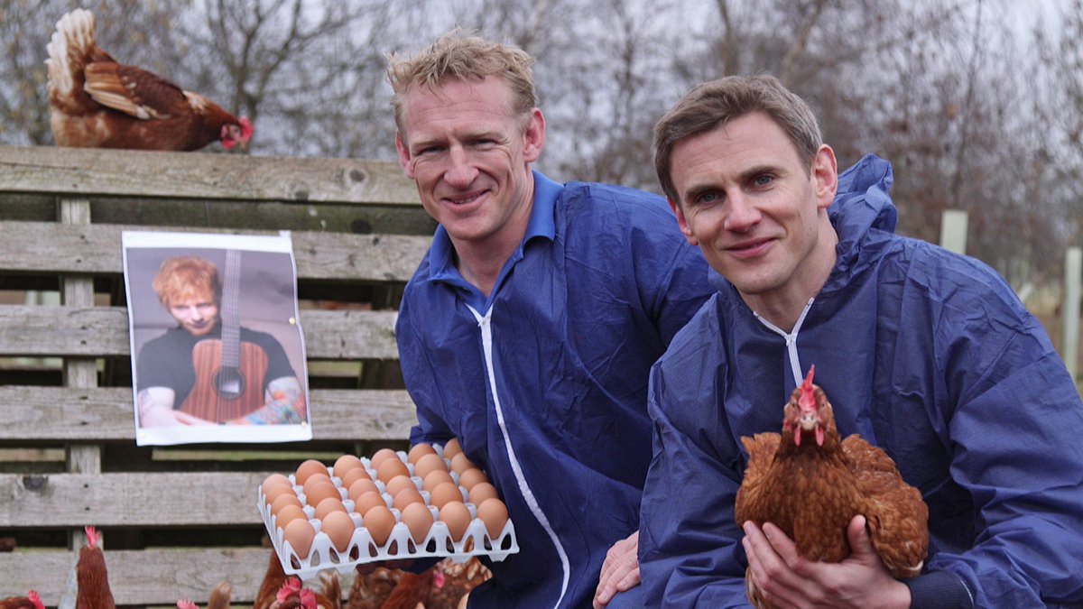 asda's tweet photo. Listening to @edsheeran songs helps Yorkshire hens lay more eggs! Find out more here: https://t.co/6YRb10ZnXR https://t.co/H4AMzDgHNy