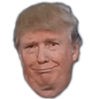 Skiddler's tweet photo. Hi, Trump, please may I have permission to use your face for an emoticon on @Twitch? @realDonaldTrump https://t.co/EIW7iApE47