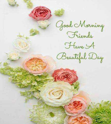 shenangomom's tweet photo. @thecarolinagirl @AnitaLea1 @2comingofjesus2 @geridynomite @robyn_lance @marion_fairy @grammiesuz @msmariepr https://t.co/6AVV3BJahg