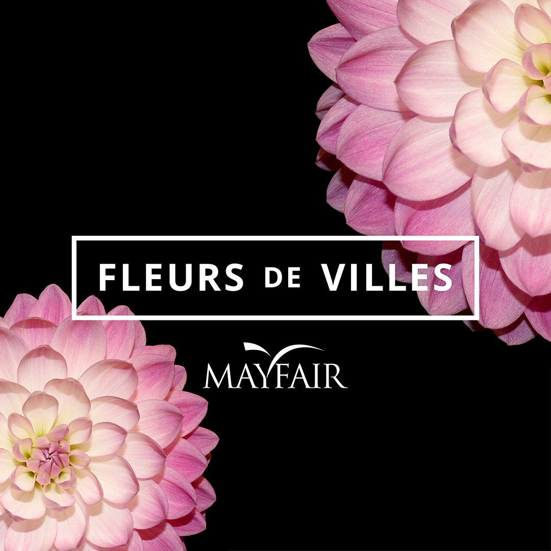 MayfairShopping's tweet photo. April 20-24 Mayfair presents Fleurs de Villes, a floral fashion showcase - more info soon!  #fleursdevilles #yyj https://t.co/8rgrKZq8CR