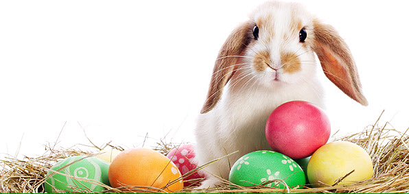 We are closed for the holiday weekend. Enjoy your break, students!