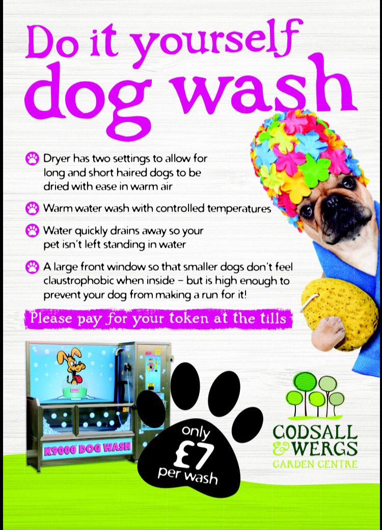 Codsall_Wergs's tweet photo. #dog #dogwash https://t.co/xyLRMn1ZWQ