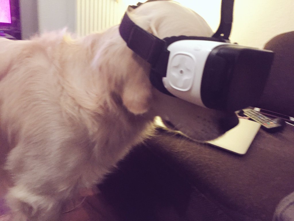 funniest vr