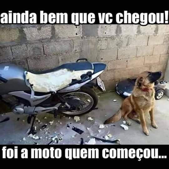 francisco soares (@soares136soares) on Twitter photo 