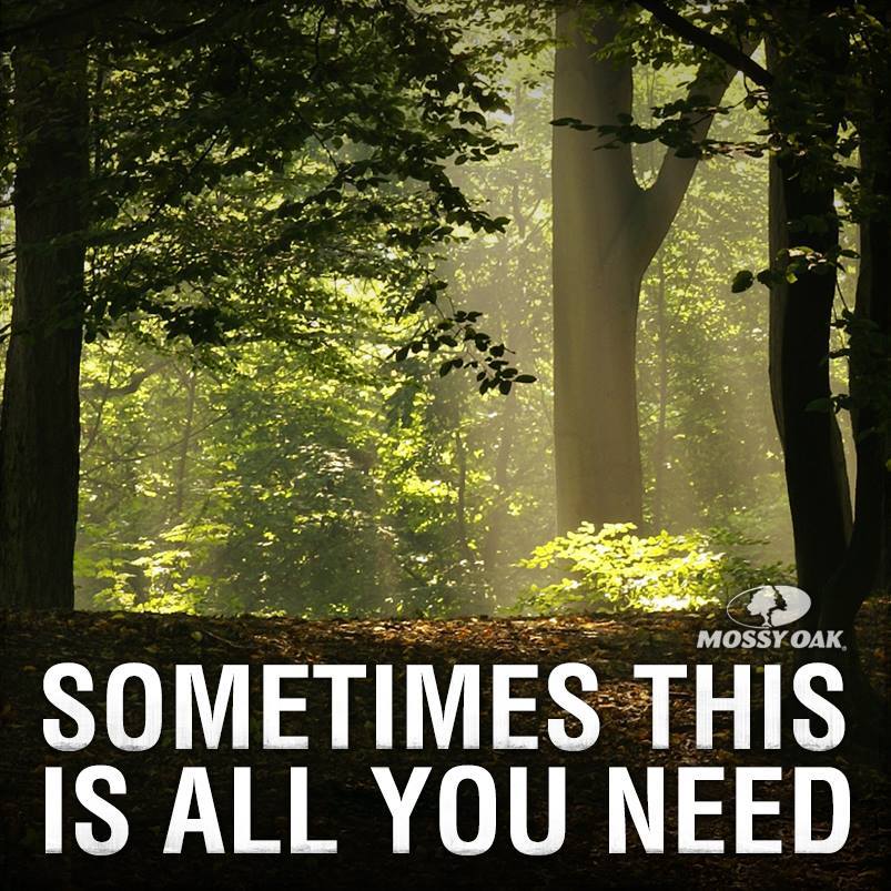 deerassociation's tweet photo. Sometimes a trip to woods is all it takes to make everything right with the world again. RT if you agree. https://t.co/DouGdIv2Gs