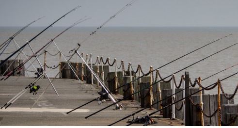 Game, sea, coarse. Find an #angling club near you at fishinginfo.co.uk