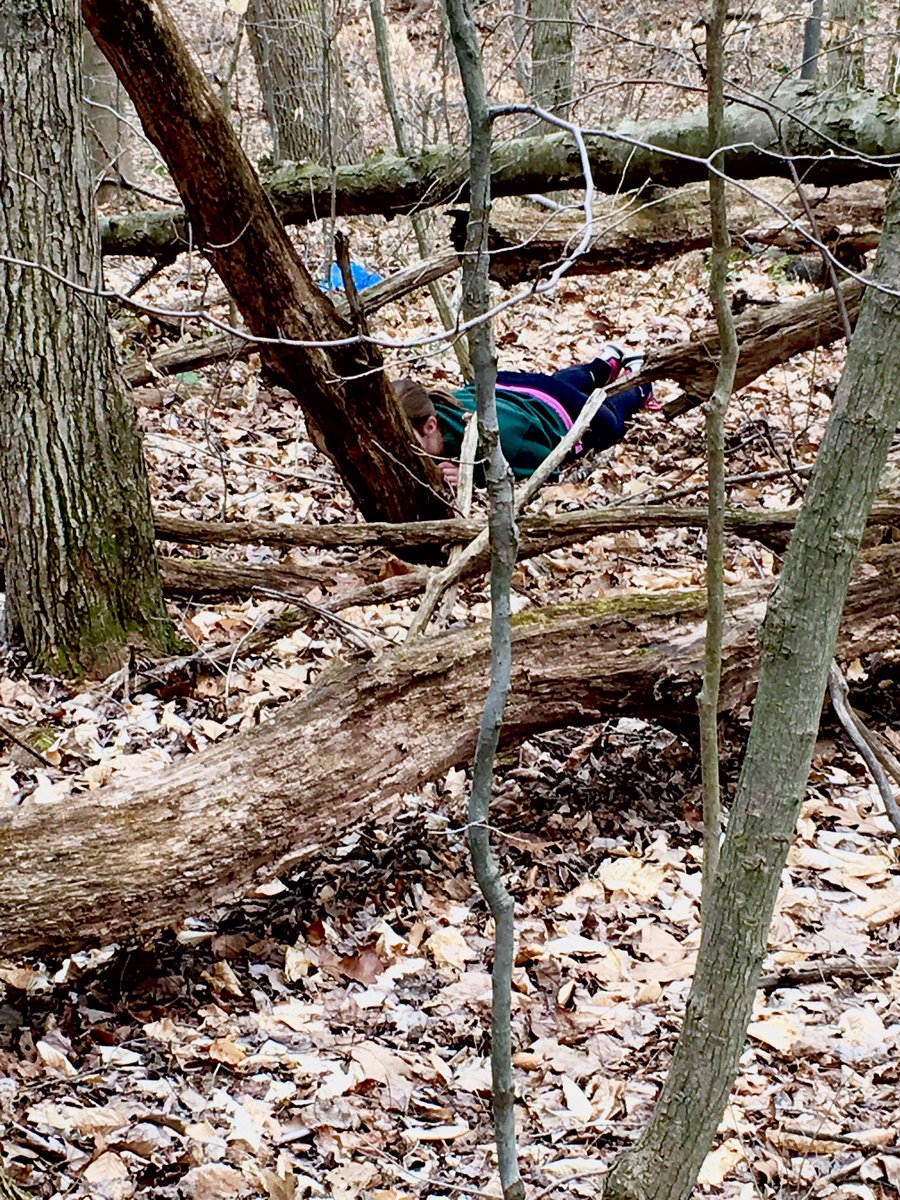 STVMGirlsLAX's tweet photo. Cassie hiding??? #Thicket #CVNP https://t.co/v8zr4GwNBw