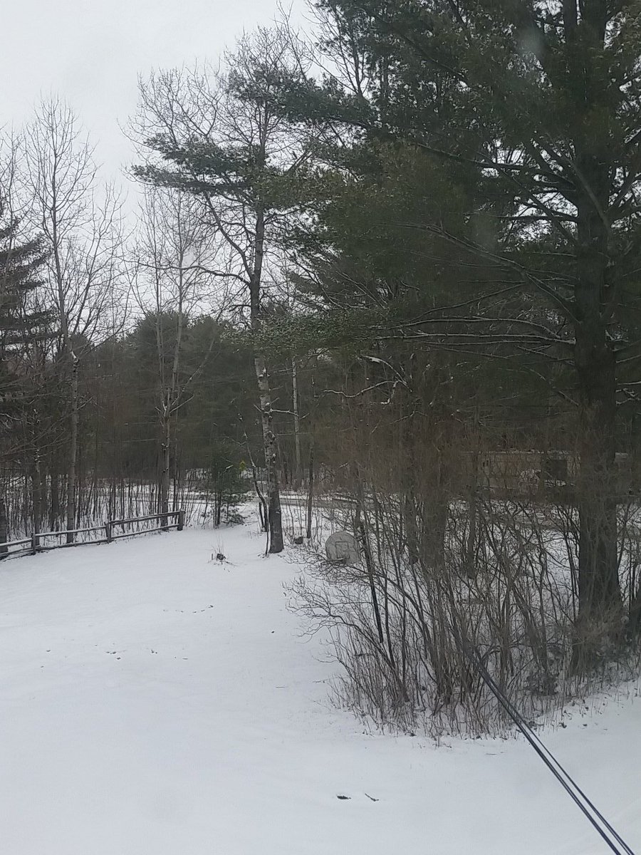 thebud1's tweet photo. @weathernetwork #onstorm seguin ont https://t.co/KD852BnM14