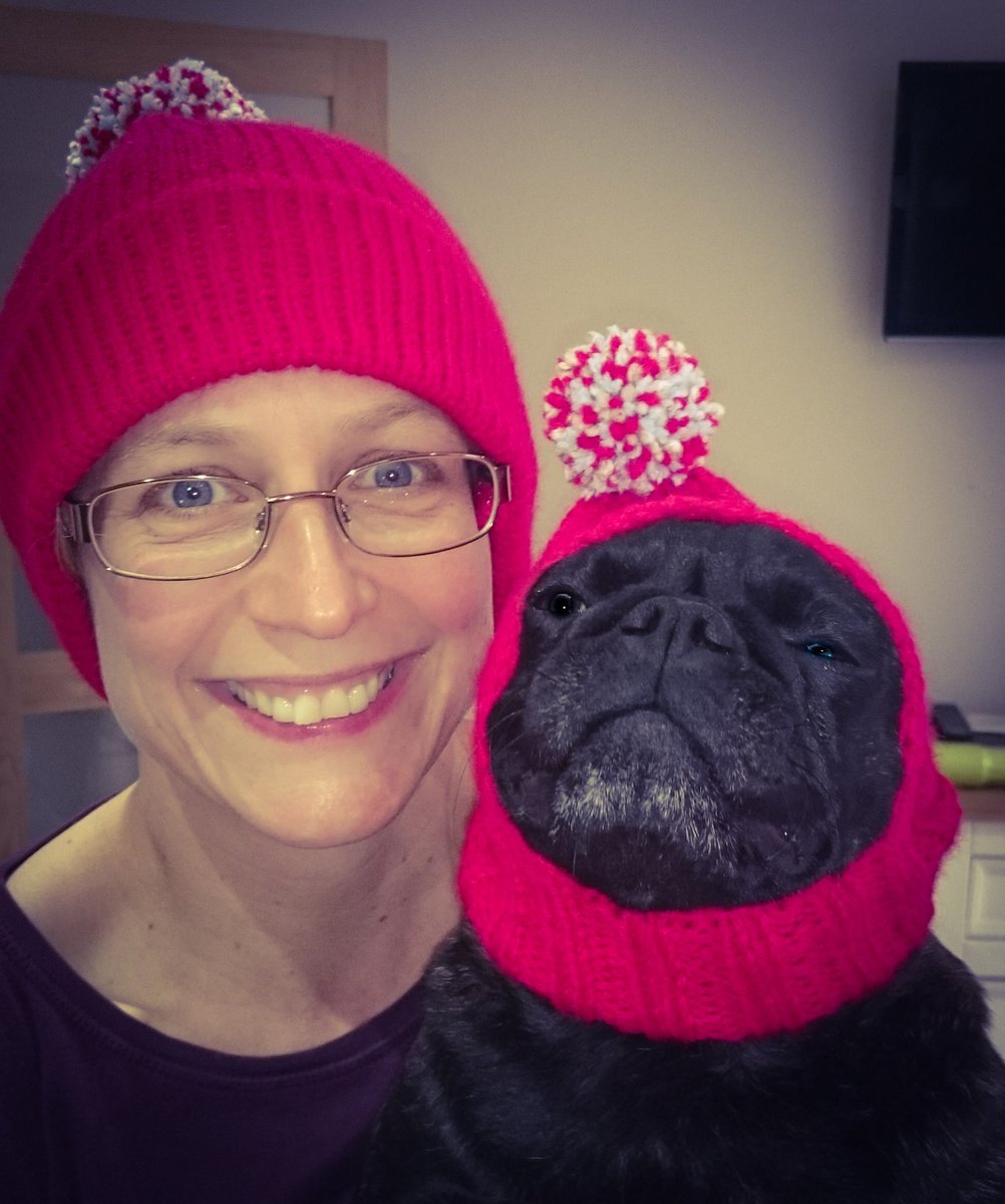 ThepugnatedOne's tweet photo. Not impressed with my matching hat https://t.co/dBKLgr5lWK