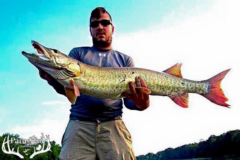 ParadigmTeam_1's tweet photo. A 40+ inch #muskelluge from the #susquehannariver #kayakfishing #paradigmoutdoors https://t.co/X3iEZpX3N8