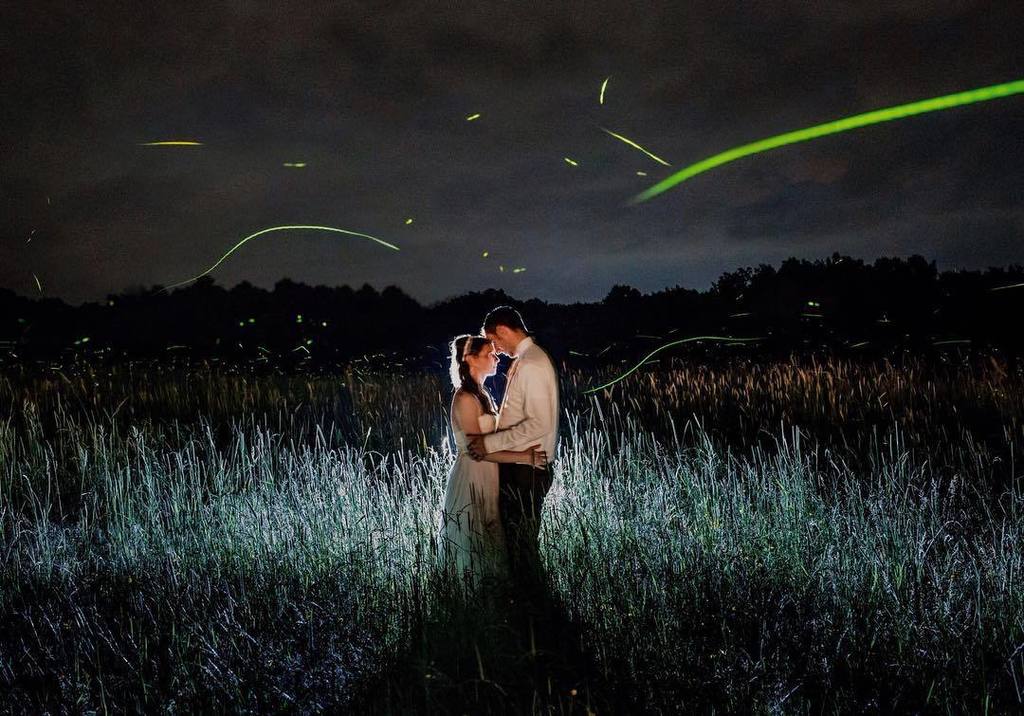 USAfricaBF's tweet photo. #Mayo360Group new... Always love this one ❤️ @everydayeros_ashley @fiddlelakefarm 
#fireflies #lightpainting #longe… https://t.co/KYf955iXnI