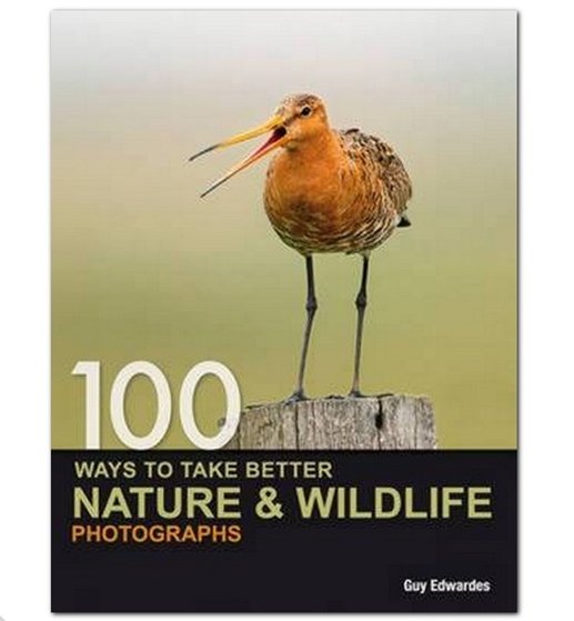 hobbiesontheweb's tweet photo. 100 Ways to Take Better Nature &amp; Wildlife Photographs really special: https://t.co/CtOVjd19OX #photography #wildlife https://t.co/vuBwtC23AE