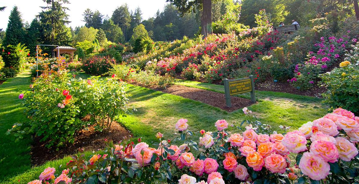 RodewayInnPDX tweet picture