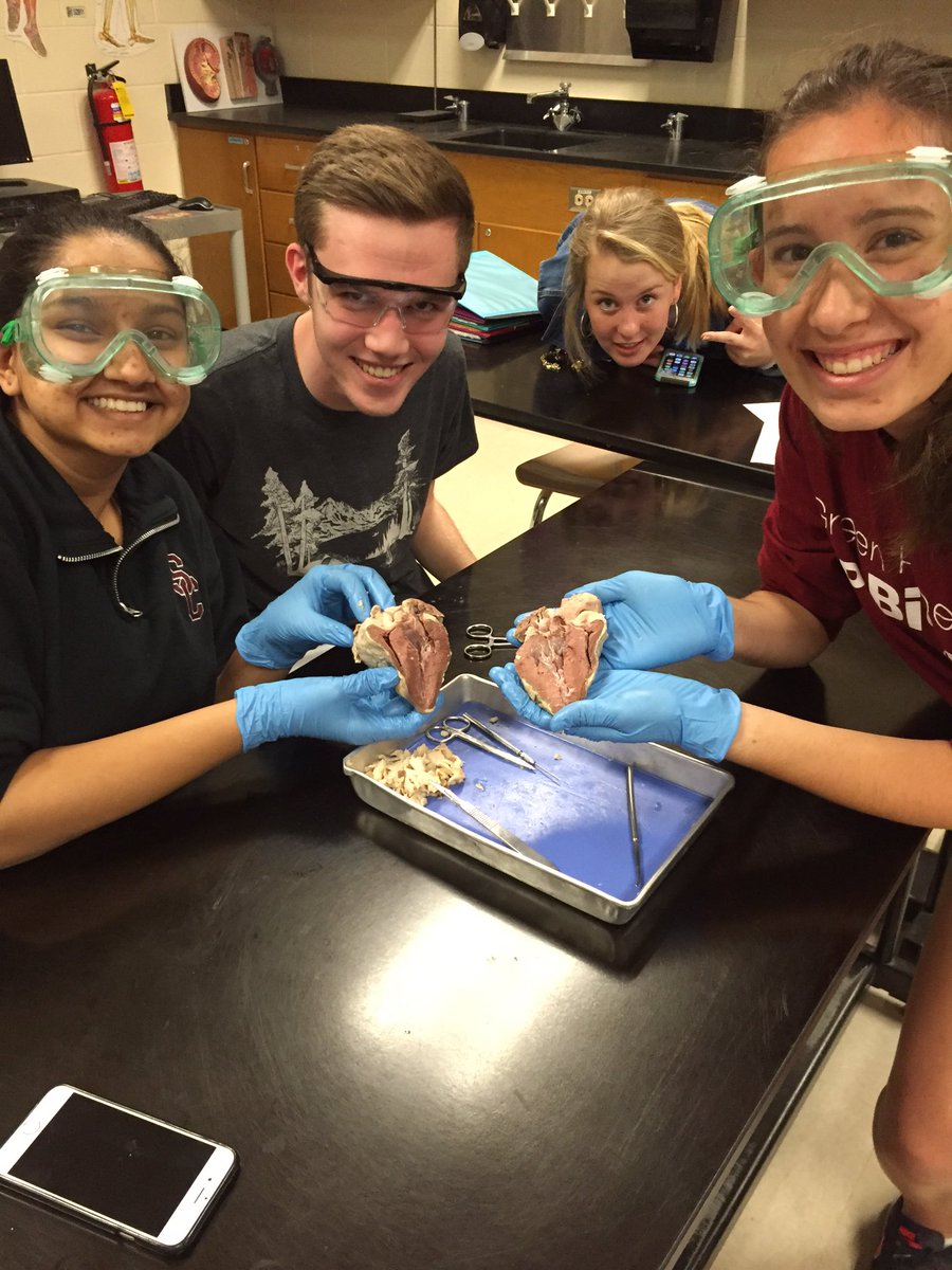 DaNailScience's tweet photo. Heart Dissections in Anatomy today! Part 2 #BloodForDays https://t.co/mLdld6TIe7