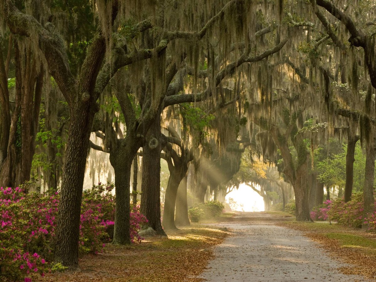 CNTraveler's tweet photo. These are the U.S. cities that make the best (and worst...) first impressions https://t.co/77LpdxC5pM https://t.co/UlCr7z6dfg