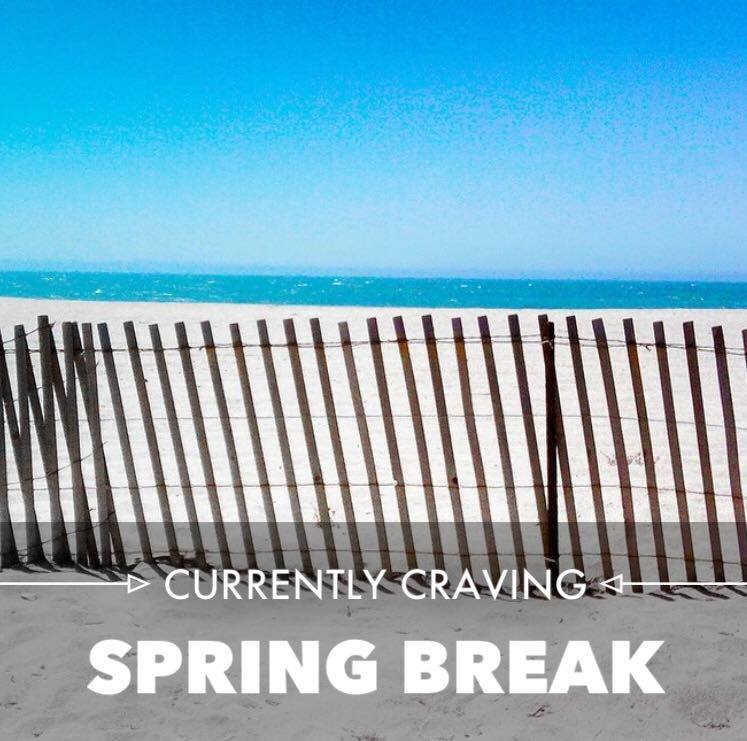 CSUSB_SMSU's tweet image. We&apos;re on spring break! Good job on the hard work, yotes. You&apos;ve worked so hard. Enjoy Spring Break! #CSUSBSMSU