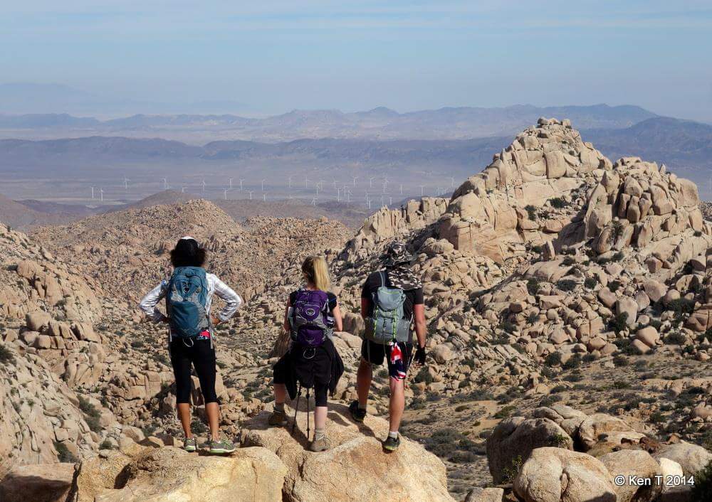 Hiking tweet media