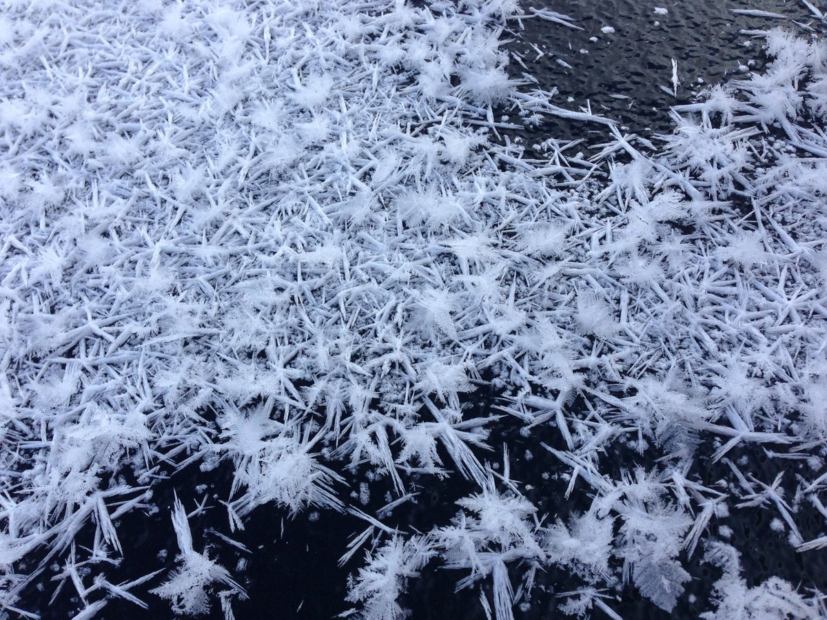 PhototeamPro's tweet photo. Ice froze in a hole as white feathers. Good sign for the #Seagull_Flight Project. https://t.co/4l80q0blQW