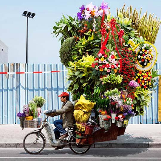 <a href="/farahmc1/">farahmcfadden</a> <a href="/cannyhighlander/">Heather</a> <a href="/RossVzla29/">LOVE AND PEACE</a> <a href="/purposefulact/">Purposeful Action</a> @caya47 <a href="/2020sahara/">Tm_Maya Ⓜ️ #EasyGain 🌊</a> <a href="/ignaarist/">aristides</a> <a href="/Joseph010202/">Joseph</a> <a href="/henrirouen/">Henri Rousseau</a> 🚲🍃🌺🌼