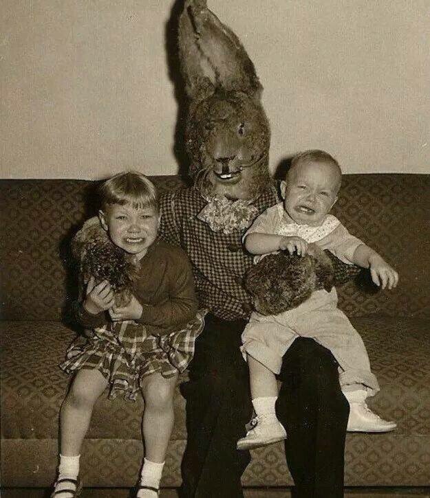iamlottebrouwer's tweet photo. Easter is coming... 🐰 https://t.co/x6sJdnDC5Z
