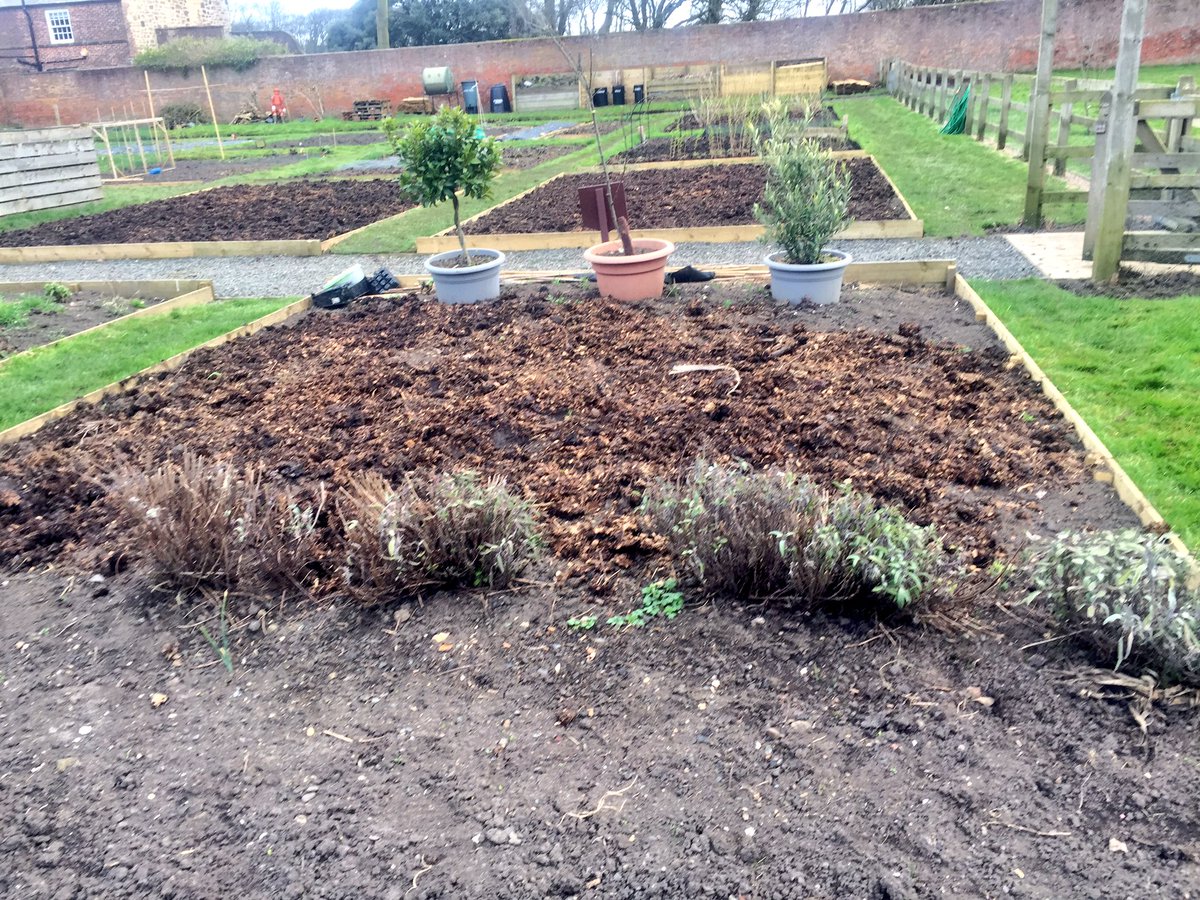 El Hombre Invisible tweet media