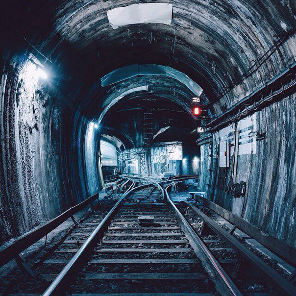 _m_malkin_'s tweet photo. #picrandom https://t.co/jHIYcoeqqr