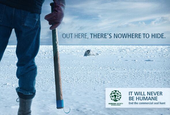 PROTECT ALL WILDLIFE tweet media
