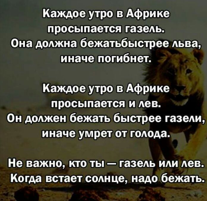 Rustam2702 tweet picture