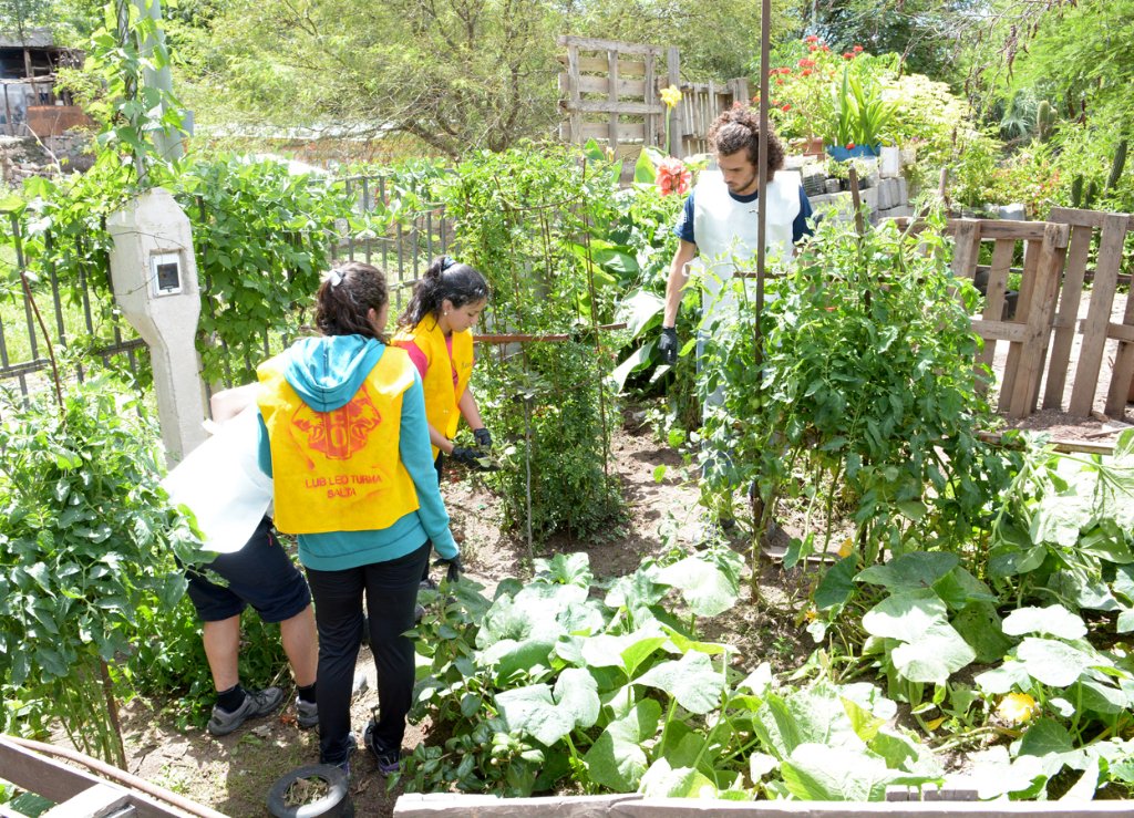 EvaAvilaSalta's tweet photo. [SOCIAL] #JuevesSanto a pleno. Jóvenes voluntarios de ONG arreglando el Comedor Niños del Futuro en B Las Colinas. https://t.co/rCl2BeKWEl