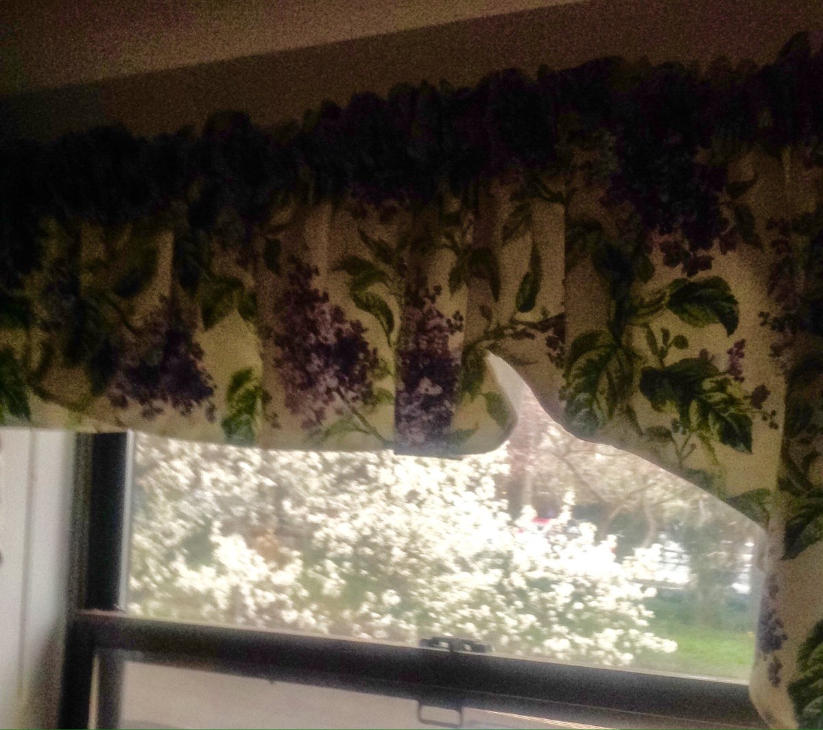 JeanJmccormick's tweet photo. Es la #primavera en DC #floresdecerezo #flores https://t.co/jVvdiqoqAn